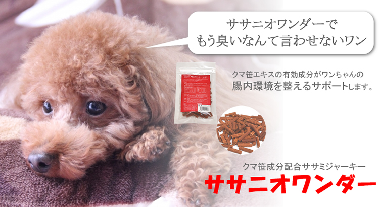 ササニオワンダー