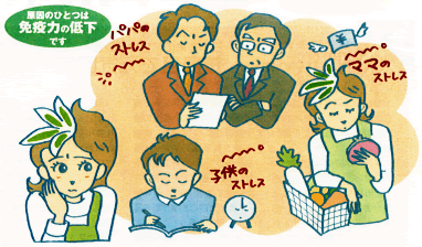免疫力の低下が風邪をひく原因のひとつ 風邪予防1
