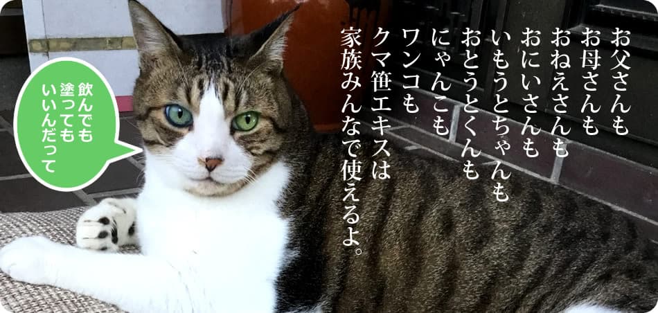 猫用クマ笹エキス
