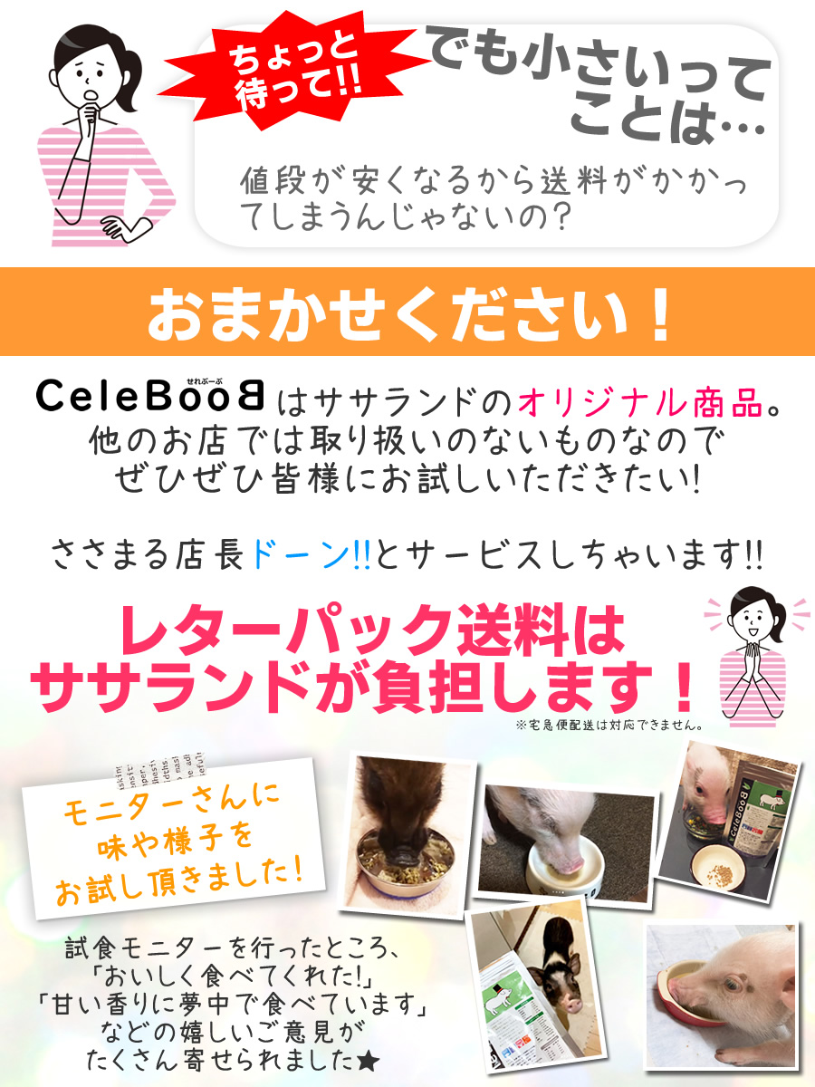 マイクロブタ、ミニブタにセレブーブ