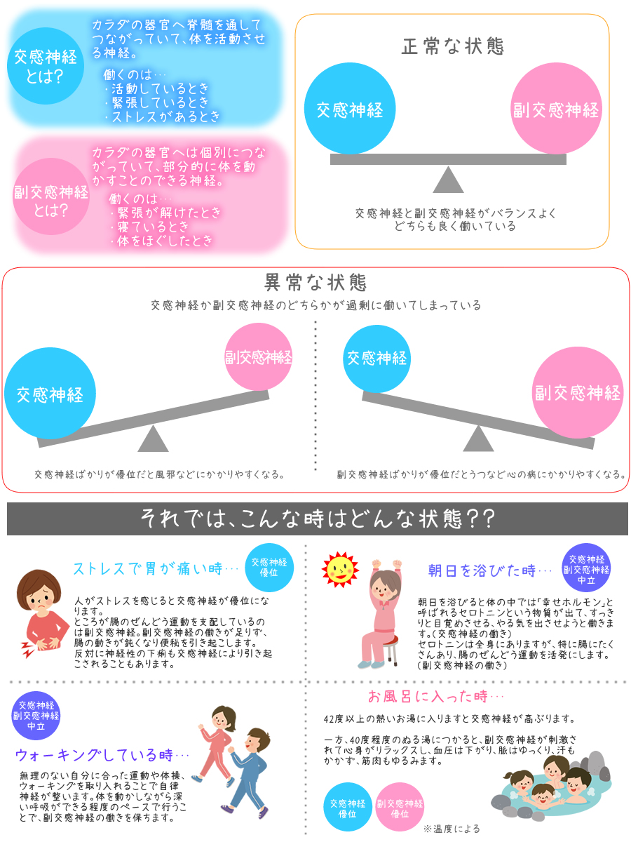 自律神経と腸の関係とは お腹の痛みの原因をスッキリ解決 熊笹エキスならササランド 犬も猫も飼い主さんも家族全員免疫力アップ