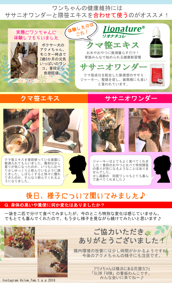 体験モニター