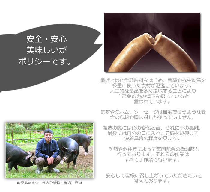 ますや無添加ポリシー