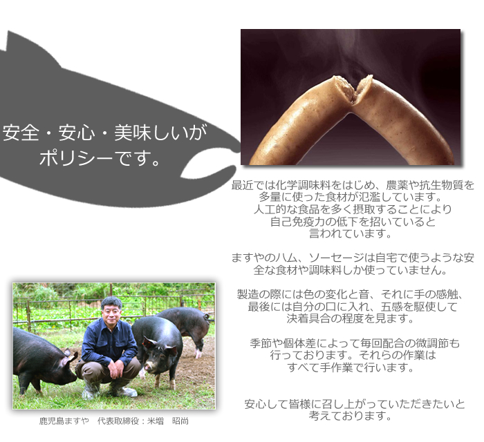 ますや無添加ポリシー