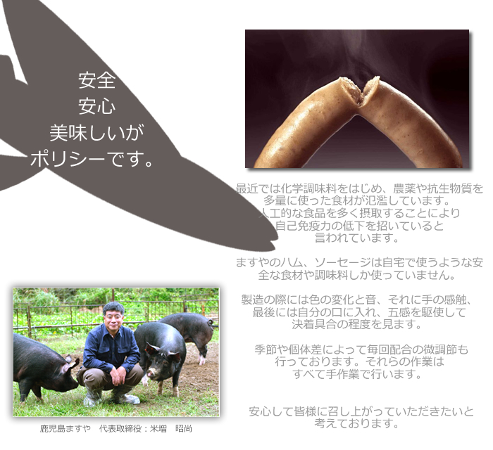 ますや無添加ポリシー