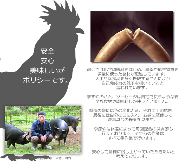 ますや無添加ポリシー