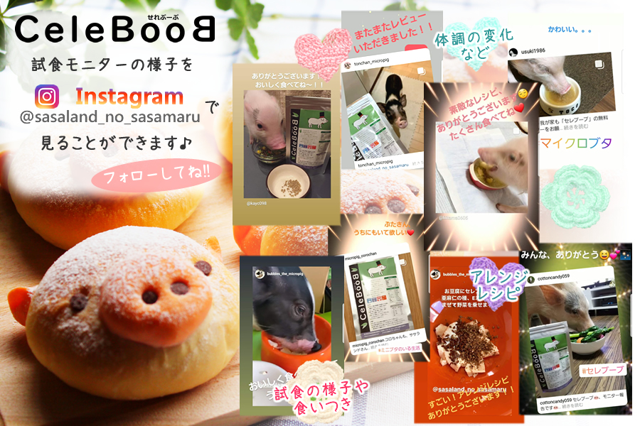 熊笹ペットサプリ 試食レビューはインスタから セレブーブ モニターの様子をインスタで公開しています