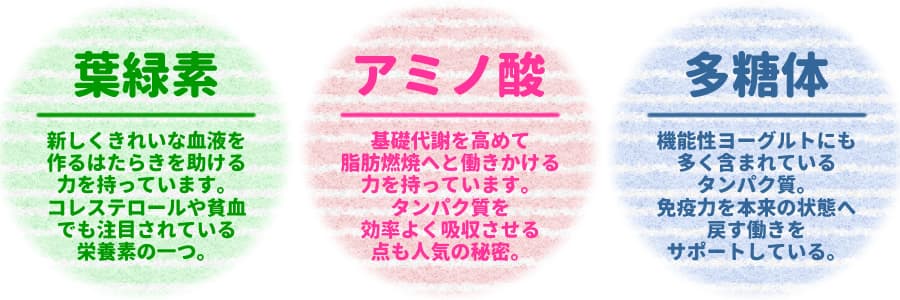葉緑素、アミノ酸、多糖体の働き 熊笹バナー2
