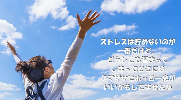 クマザサでストレス知らず コンテンツバナー2